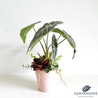 Cây giả Decor - Chậu sen đá cốc mini Decor Trang trí để bàn