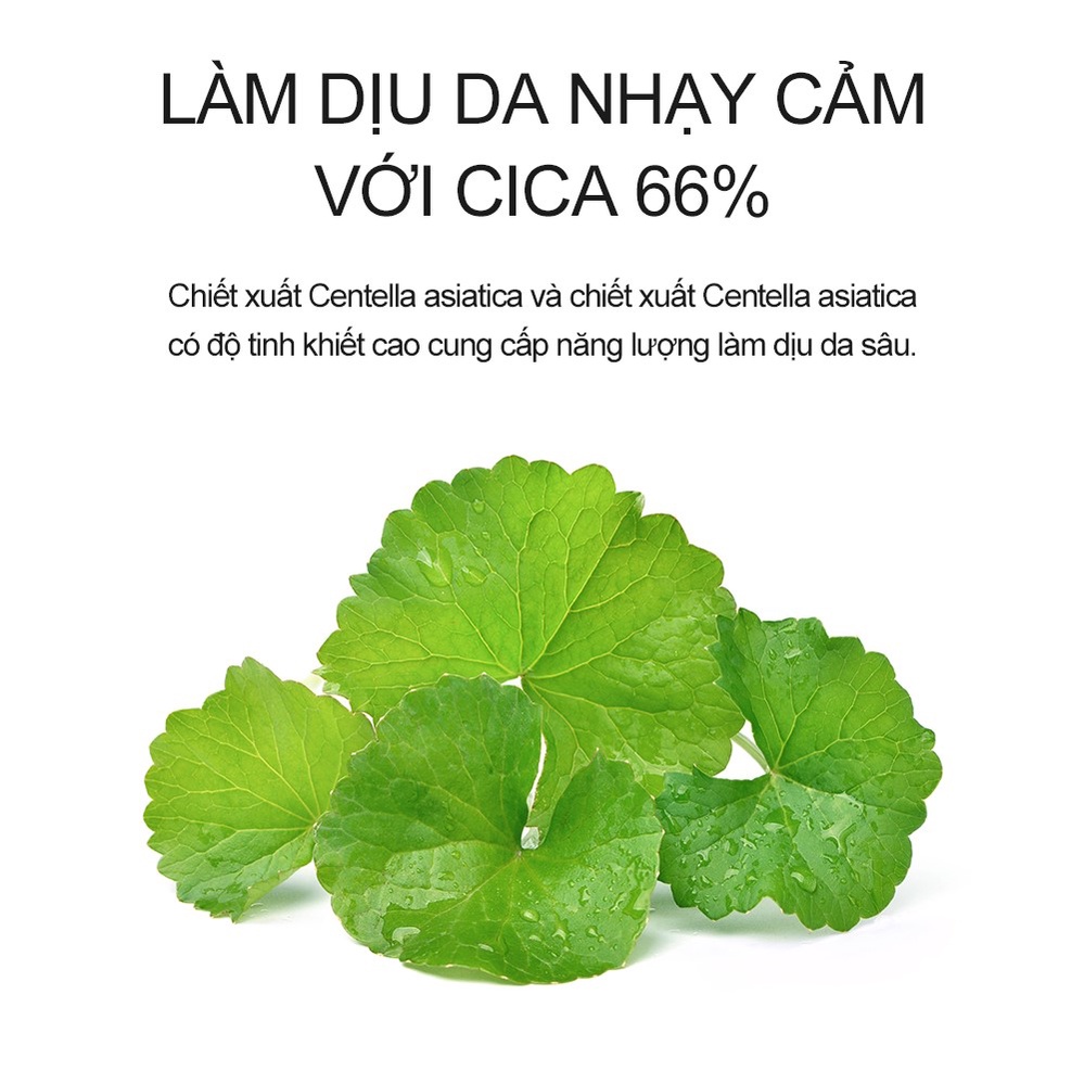 Kem chống nắng rau má  Derma Factory CICA 66% Suncream 30g