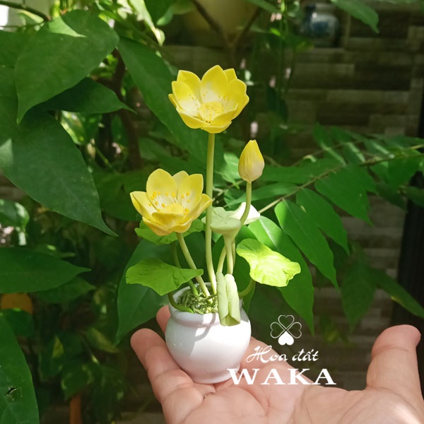 Hoa Đất Sét Mini- Hoa Sen