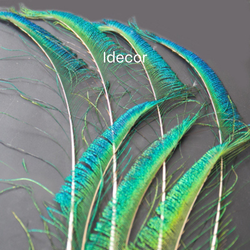 Lông công rìa dùng trang trí điểm tô một vài cành xung quanh bình lông công