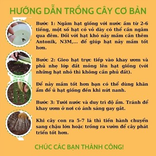 (Mã NSF02P125 giảm 25K) Ớt Hiểm hạt giống
