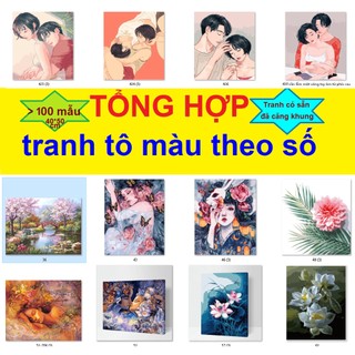 Tranh sơn dầu số hóa tự tô màu theo số có khung (40*50cm) - TRANH YÊU THÍCH