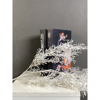 Măng tuyết nhựa trắng