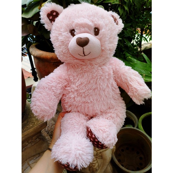 Gấu bab bear mẫu lạ