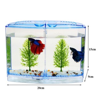 Hồ cá mini trang trí bể cá , hồ cá, thủy sinh TS35