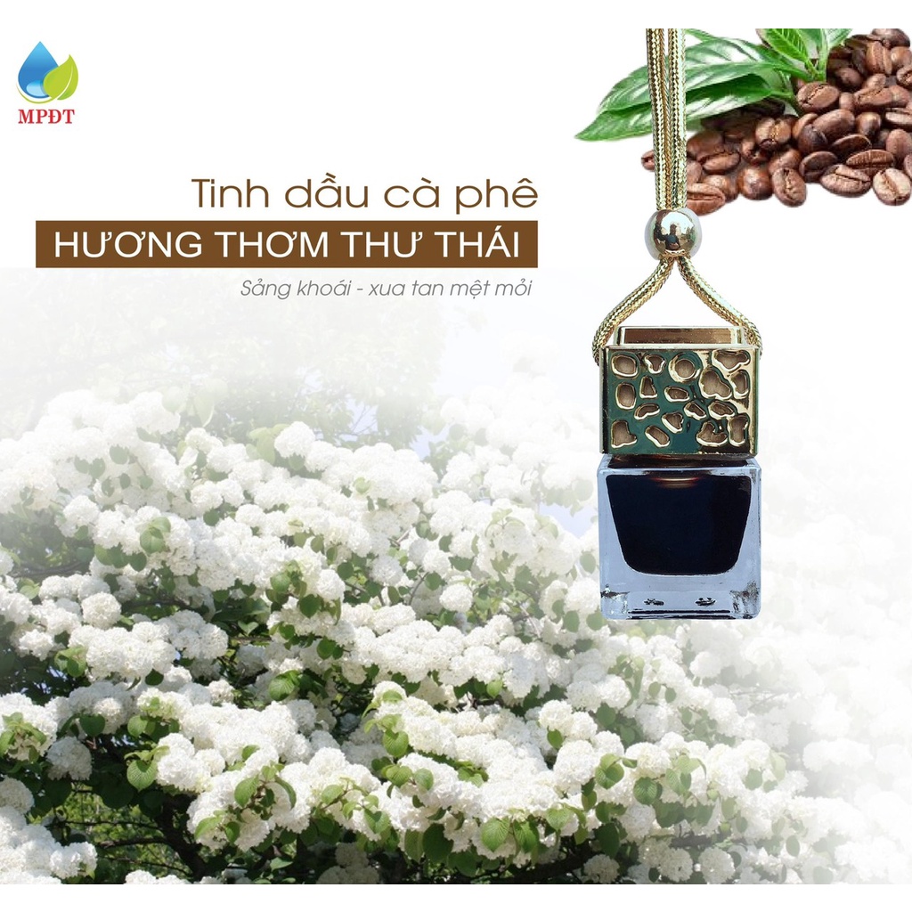 Tinh dầu sả chanh treo xe xua muỗi, xông đèn, treo xe