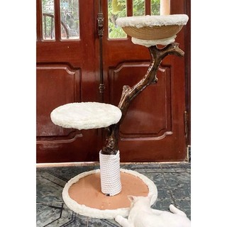 🍀Cattree nhà mèo giá rẻ natural🍀