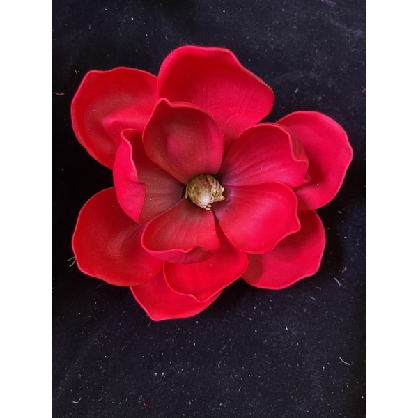hoa mộc lan cỡ to (15cm) hàng trung quốc