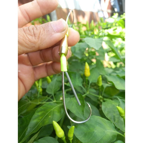 lưỡi câu cá lóc trứng rùa Lai