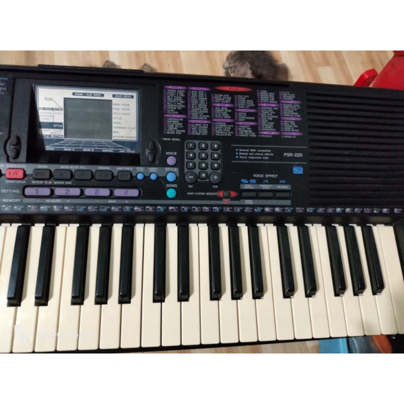 organ Yamaha psr220