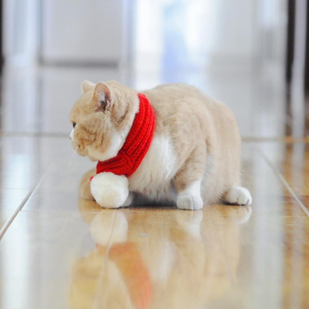 Khăn Choàng Cổ Giữ Ấm Mềm Mại Cho Mèo Cưng Size S / M / L Màu Đỏ / Xanh Lá