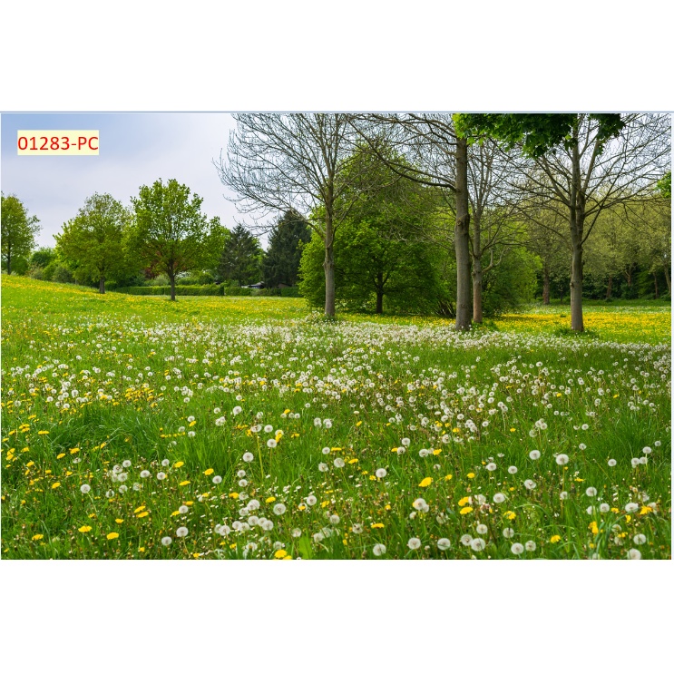 Tranh Hàng Cây Xanh Bằng Vải Lụa 3D Dán Tường chống thấm nước hiệu quả