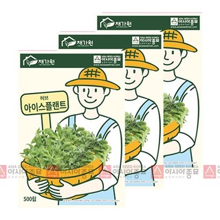 Rau Bông Tuyết Hàn Quốc