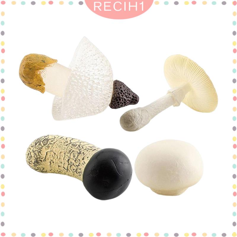 Bộ 4 Mô Hình Nấm Trang Trí Cho Ngày Và Đêm