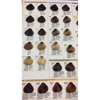 Thuốc nhuộm Bes+oxy( có bảng màu)