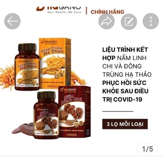 [HQGANO] Sâm Tửu Đông Trùng Hạ Thảo Cordywin_Chai 950ml