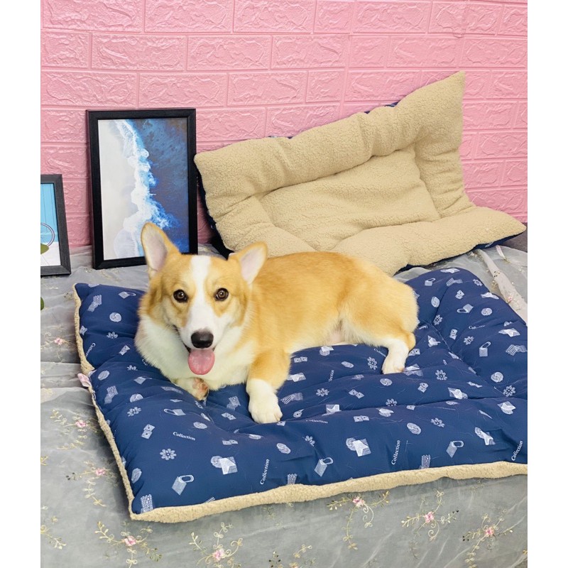 Nệm nằm size đại cho chó alaska , husky