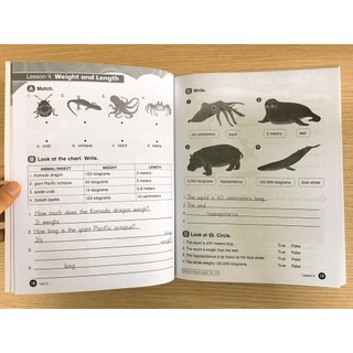 Sách - Everybody Up 4 bản 2nd edition