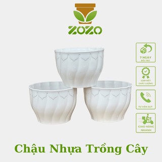 Chậu nhựa ZOZO xoắn cánh sen trồng cây hoa sen đá mini cực xinh kèm đĩa lót
