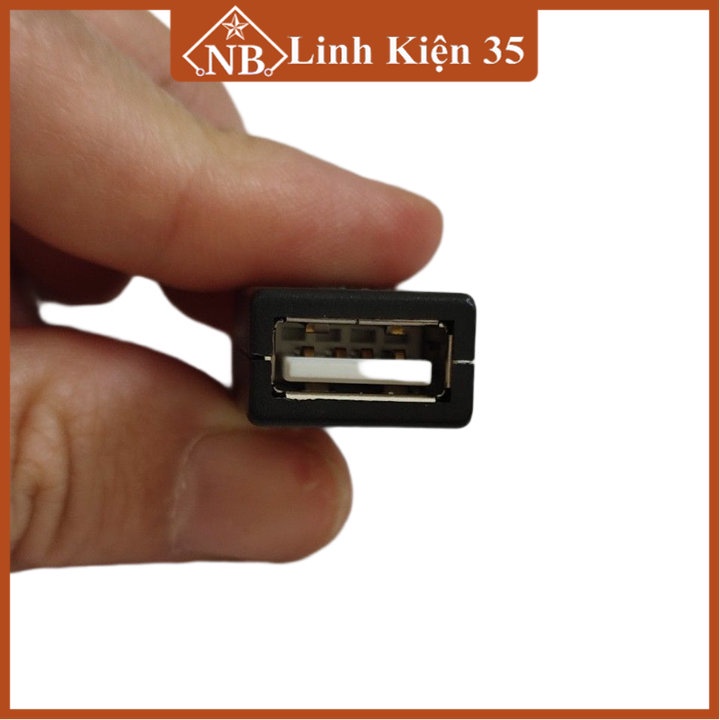 Linh kiện đầu jack cổng USB A cái 4P + vỏ