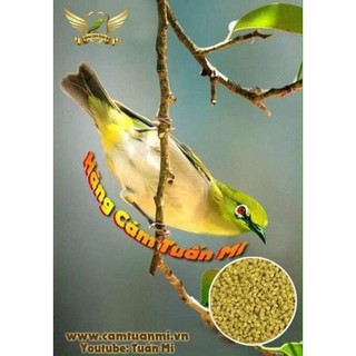 Cám Vành Khuyên số 2_ CHIM LÍU