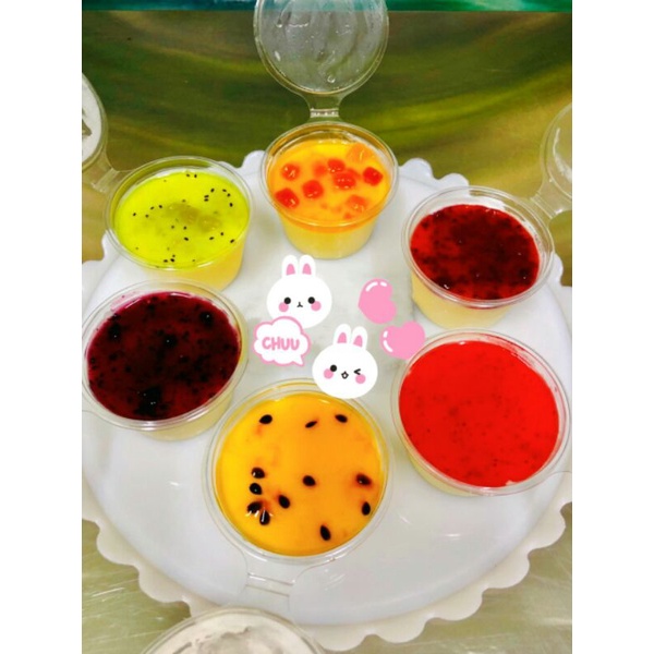Bánh Panna Cotta Đủ Vị Kiwi - Chanh Dây - Việt Quất - Phúc Bồn Tử - Dâu - Xoài