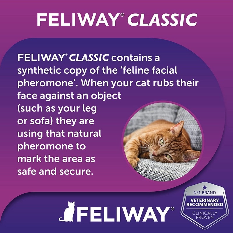 Feliway Bộ Khuếch Tán Giảm Căng Thẳng Cho Mèo