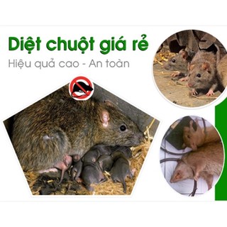 Thuốc Diệt Chuột Killrat (gói 40g)