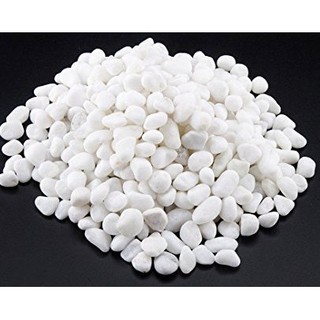 Sỏi trắng trải nền cho hồ cá, hồ thủy sinh