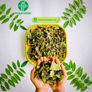 CÂY XẠ ĐEN KHÔ 1KG LOẠI XANH ĐẸP