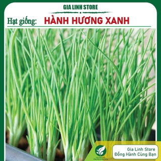 Hạt giống Hành hương chịu nhiệt dễ trồng