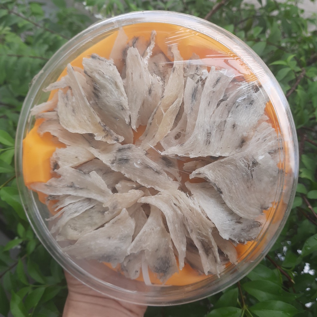 Chân yến thô