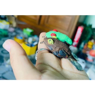 Nhái hơi cóc lớn thái