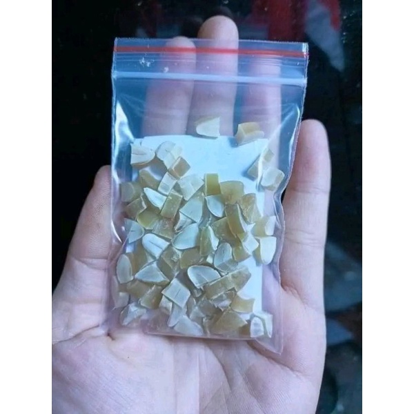 Hạt sang chuyên chữa dạ dày,đại tràng 10 hạt