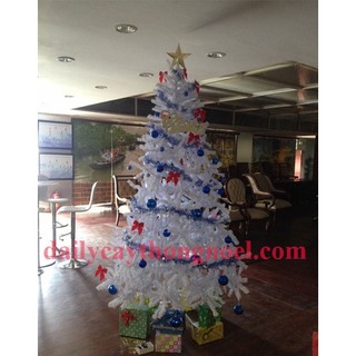 Cây thông noel màu trắng cao 1m8 - Cây đẹp màu trắng tinh