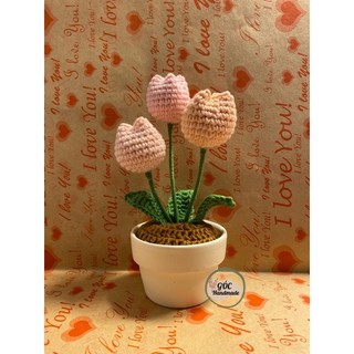 Chậu hoa tulip 3 bông