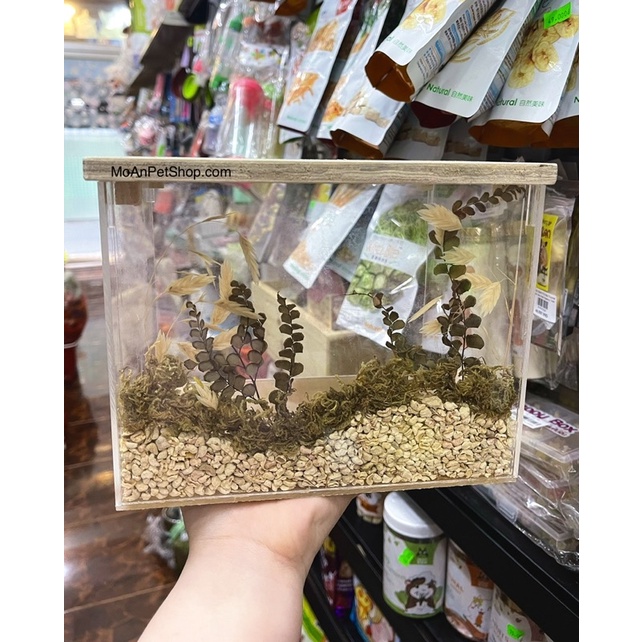 Hộp Đào cho Hamster 20x15x15