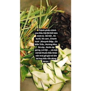 Dầu Gội Bồ Kết Thuần Chay Cô Đặc