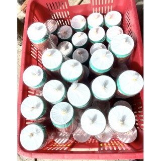 Mắm Tôm Đặc Sản Năm Căn - Cà Mau