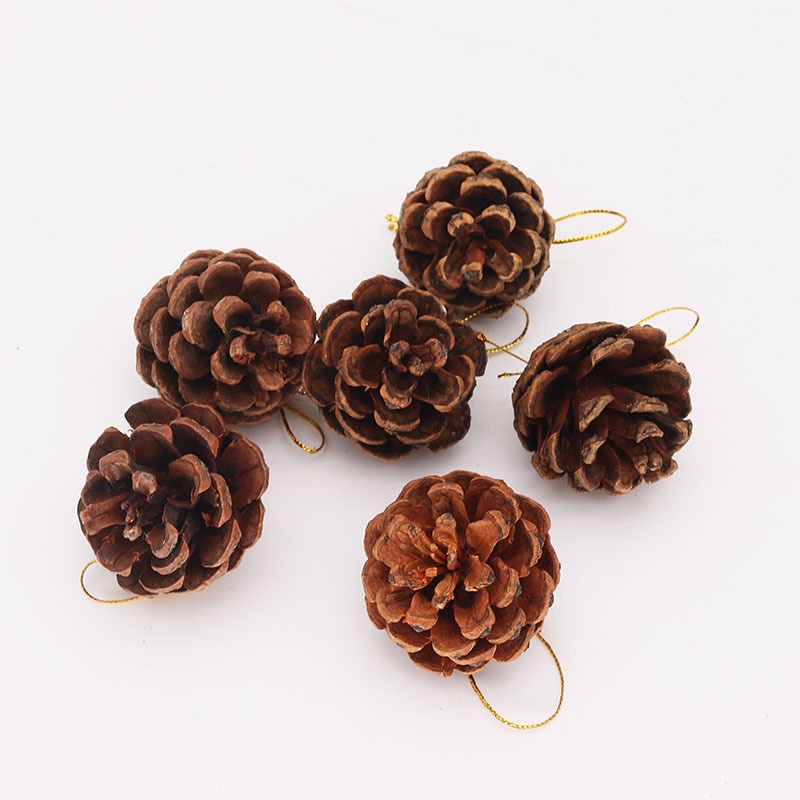 Túi 6 Quả Thông Khô