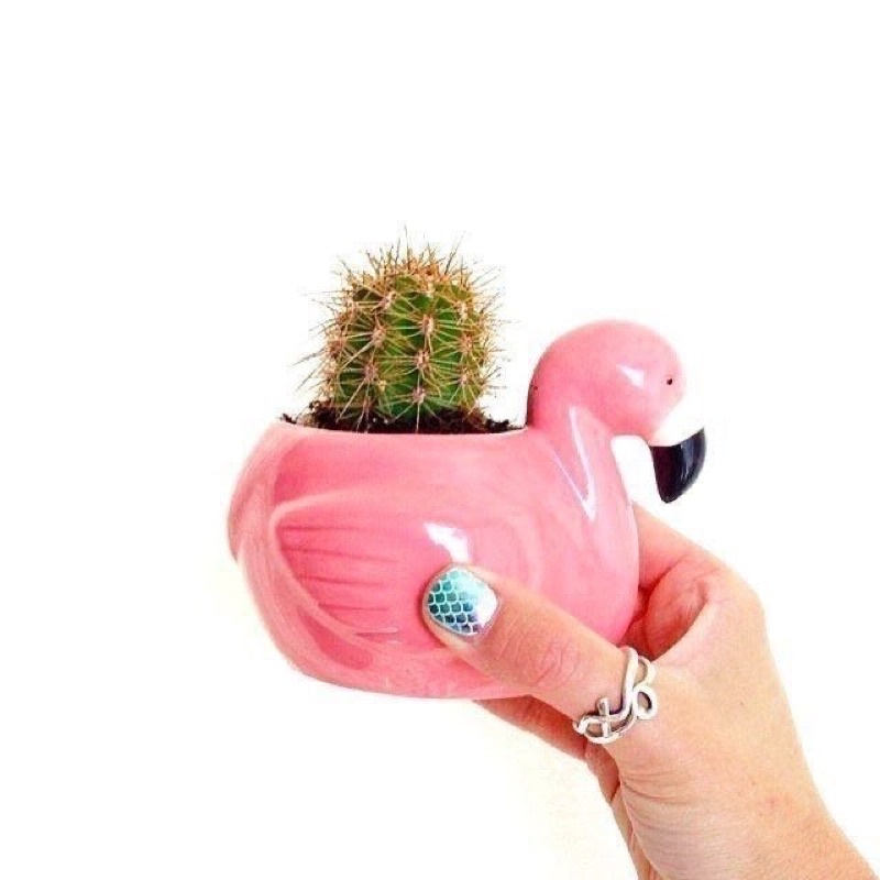 Nến thơm hình thù các con vật