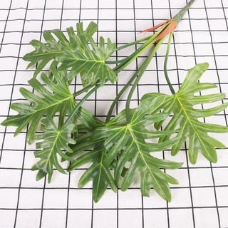 Cụm lá chân vịt [cây decor, cây trang trí anthinh decor]