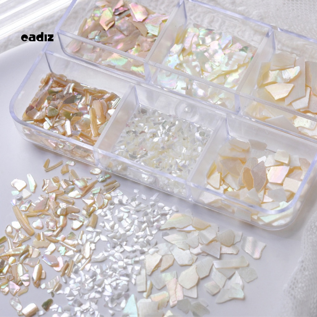 1 Hộp Vỏ Sò Đính Móng Tay Trang Trí Nghệ Thuật Siêu Mỏng