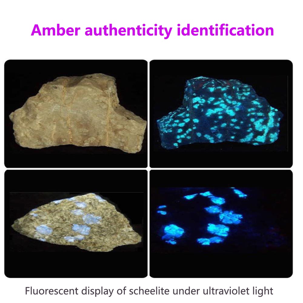 Đèn Pin AloneFire SV005 UV 10W 365NM LED Sạc USB Tiện Dụng Chất Lượng Cao