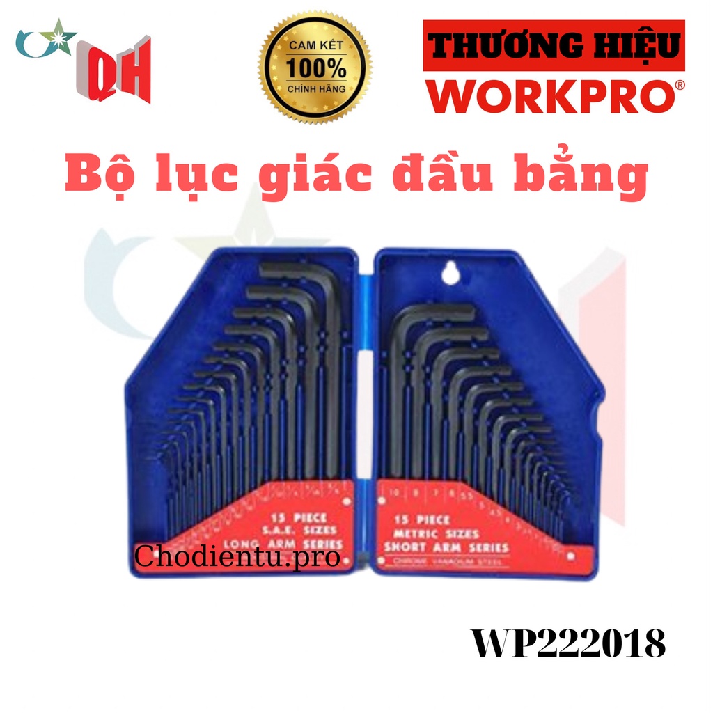 Bộ Lục Giác Đầu Bằng 30 Chi Tiết (15 cái hệ inch, 15 cái hệ mét) Thép Hợp Kim CR-V Workpro WP222018 - HÀNG CHÍNH HÃNG