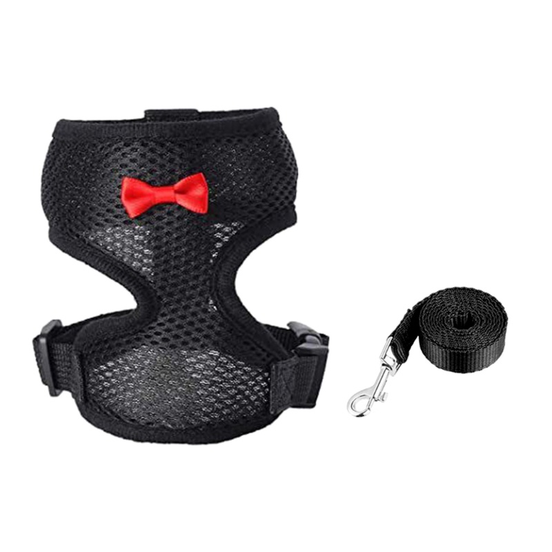 Bộ Dây Dắt Và Dắt Thú Cưng Đi Dạo Thiết Kế Dễ Thương Tiện Dụng