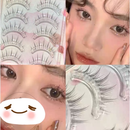 Set 5 Cặp Lông Mi Giả Cong Nhẹ Và Mềm Mịn Tự Nhiên Mi búp bê gân trong cao cấp gân mềm mỏng, siêu nhẹ và có độ cong sẵn
