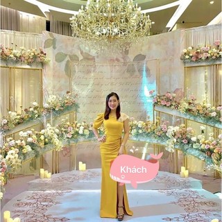 Đầm dạ hội lệch vai cao cấp. Hàng TK