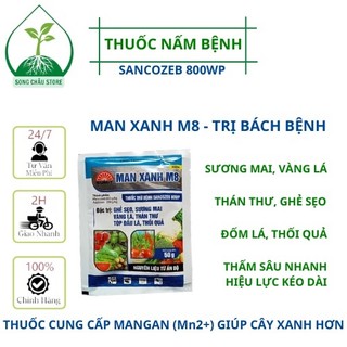 Man xanh 800wp thuốc trừ nấm bệnh phổ rộng - màu xanh