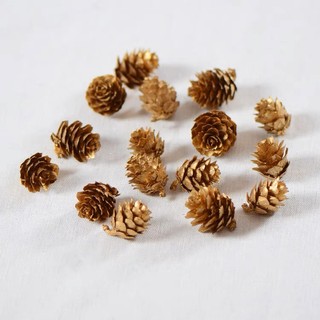 Quả Thông Tròn 3cm/4cm/5cm/6cm/8cm GS026